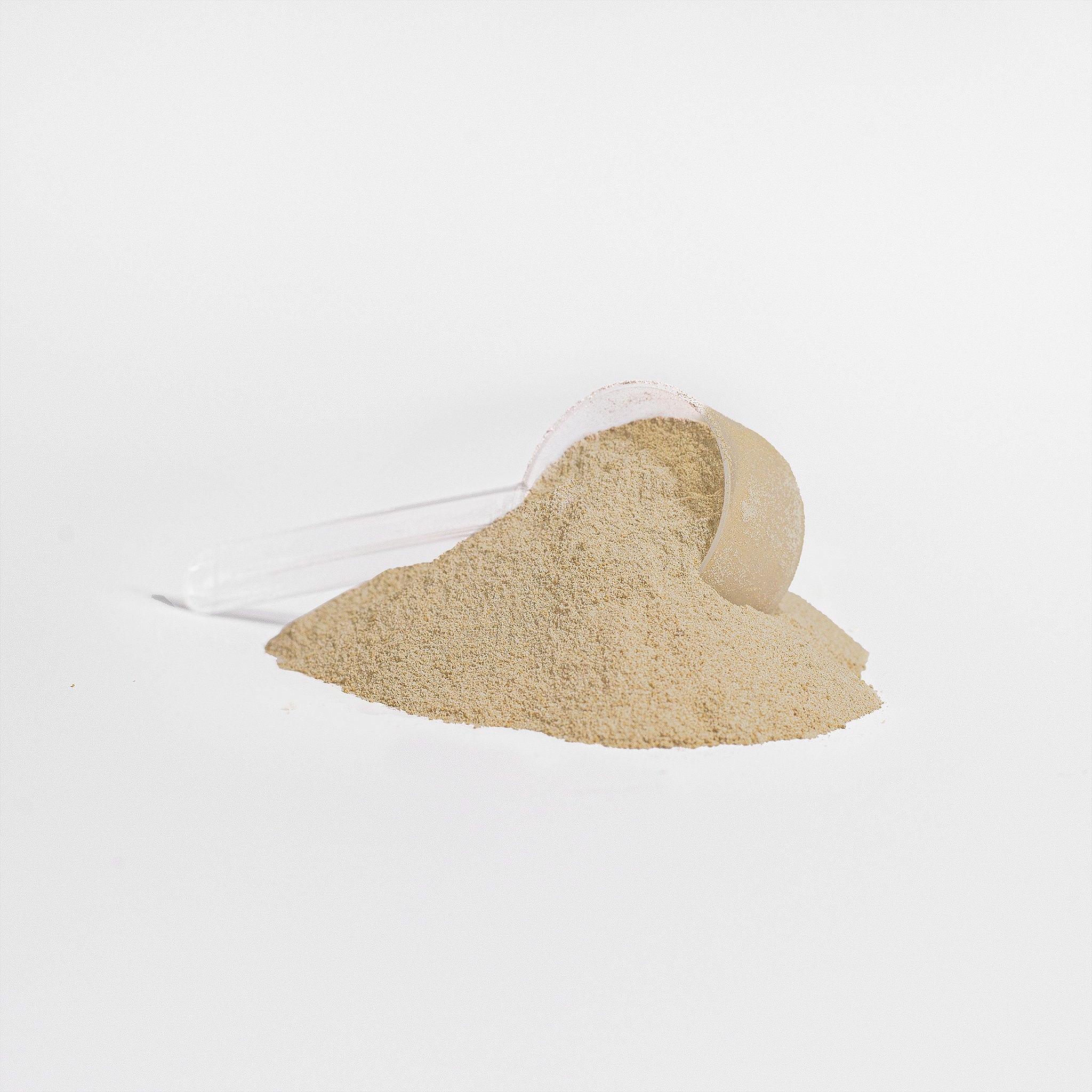 Plant Protein (Vanilla)